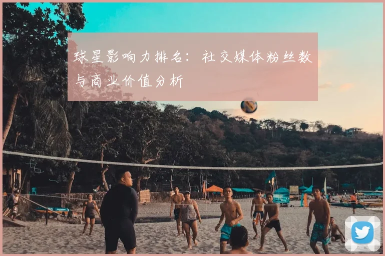 球星影响力排名:社交媒体粉丝数与商业价值分析
